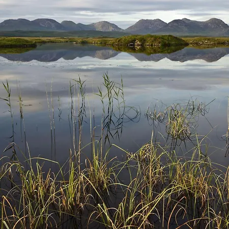 470 - בית נופש *